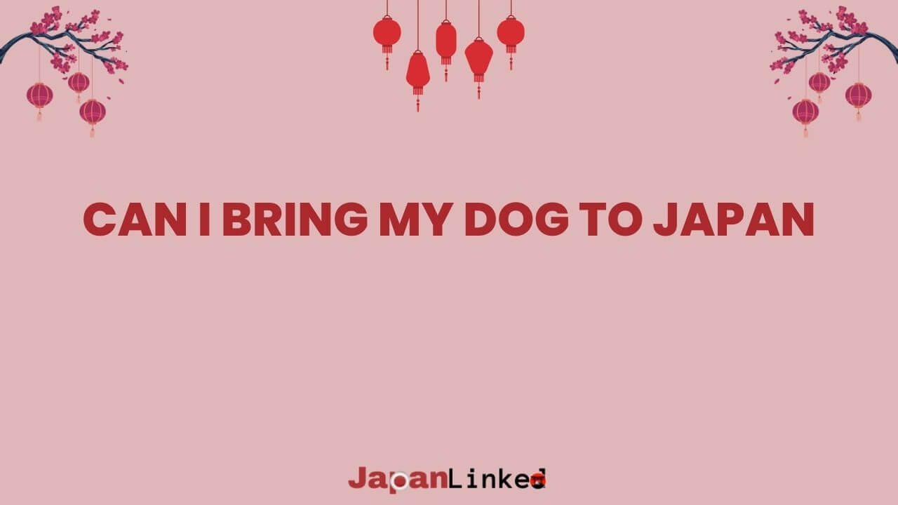 Can I Bring My Dog to Japan? Your Complete Guide to Tail-Wagging Travel
