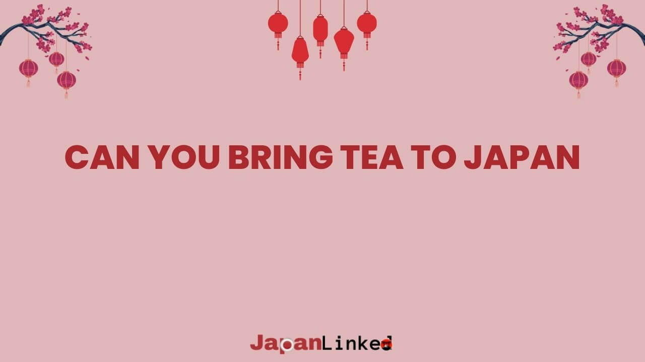 Can You Bring Tea to Japan? Steep Yourself in Customs Know-How