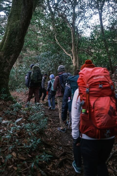 Common Attire on Japanese Hiking Trails: What the Locals Wear