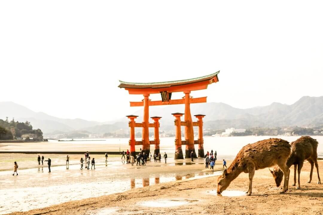 Day 11: Hiroshima + Miyajima (overnight in Hiroshima)