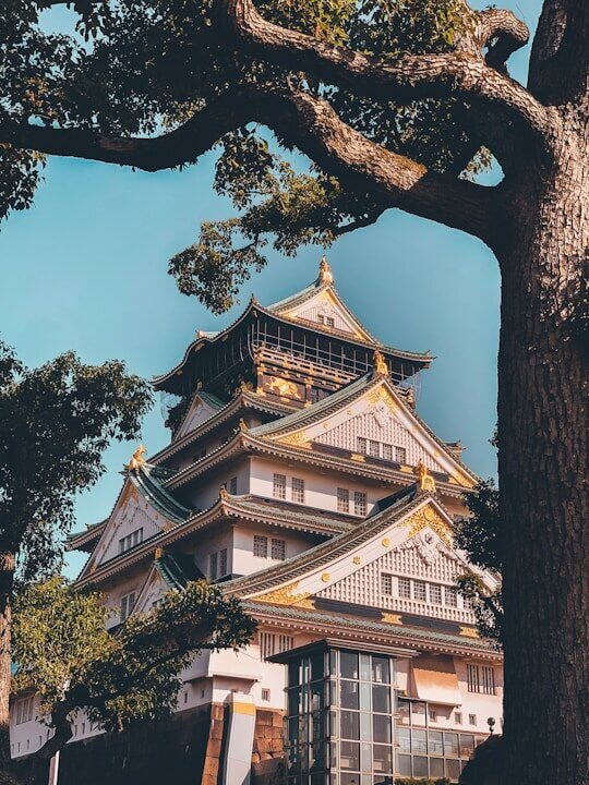 Day 12: Osaka (fly home)