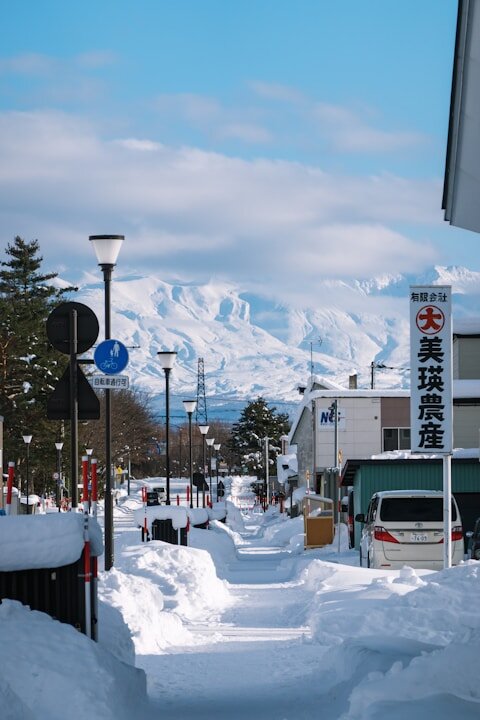 Days 13–14: Hokkaido — Hakodate (2 nights)