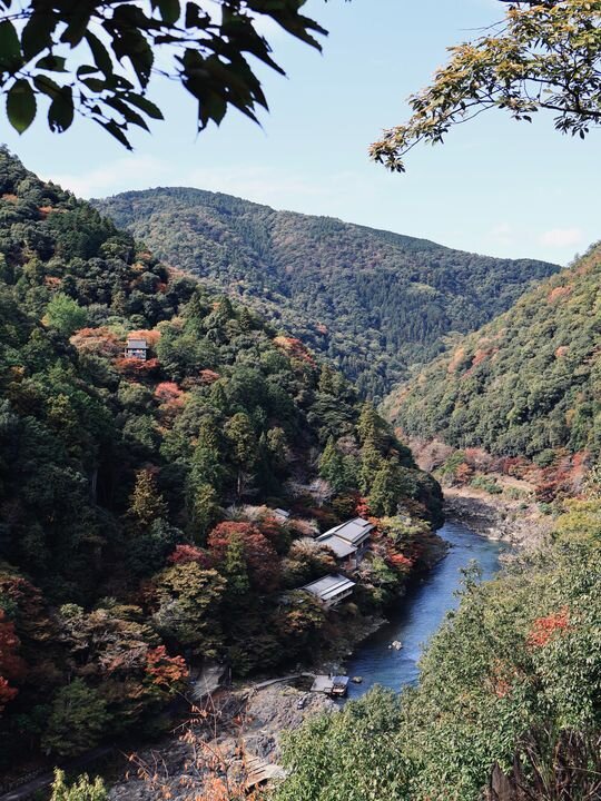 Days 13–14: Iya Valley, Shikoku (2 nights)