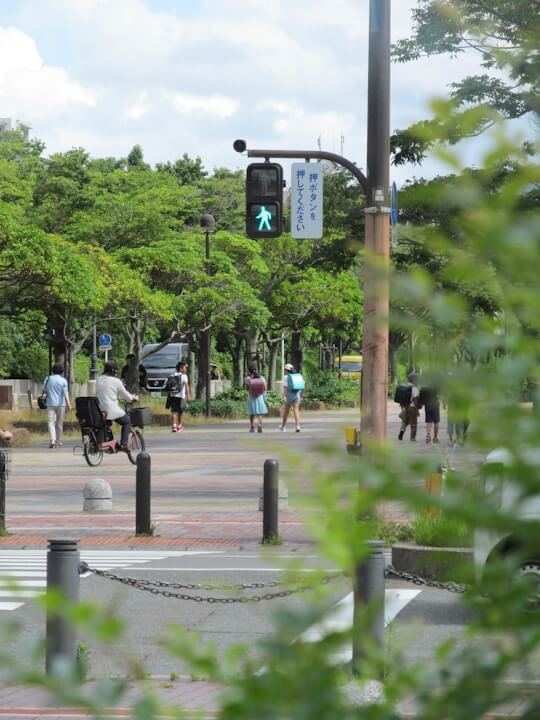 Educational Alternatives to Traditional Japanese Schools