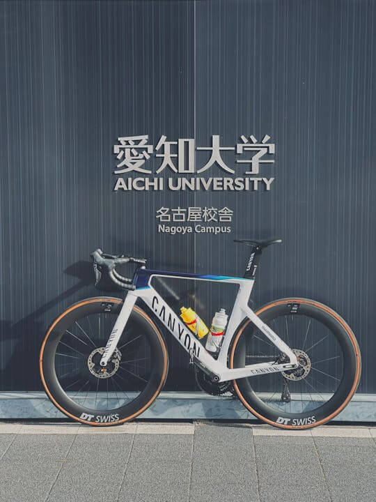 Exceptions: Liberal Arts and International Programs in Japan