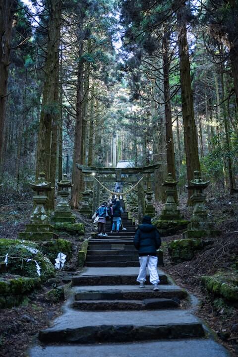 Features of Hiking Pants Ideal for Japan's Terrain and Weather