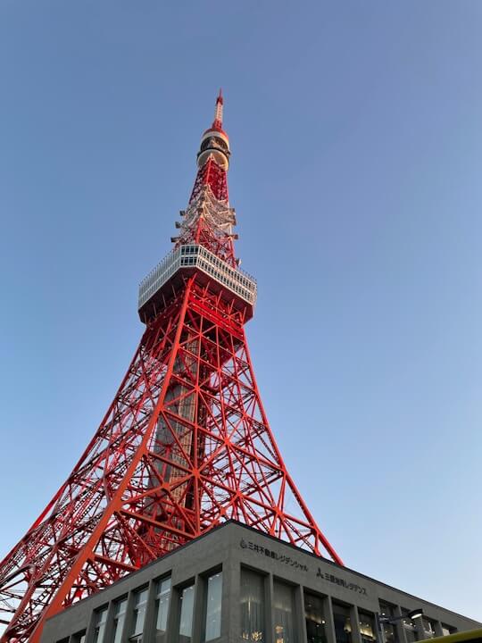 Understanding Japan's Mobile Network and SIM Card Options