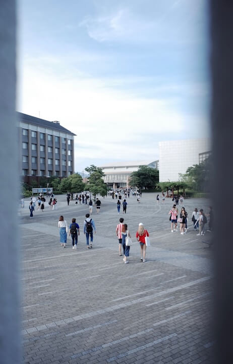 Understanding the Japanese University System