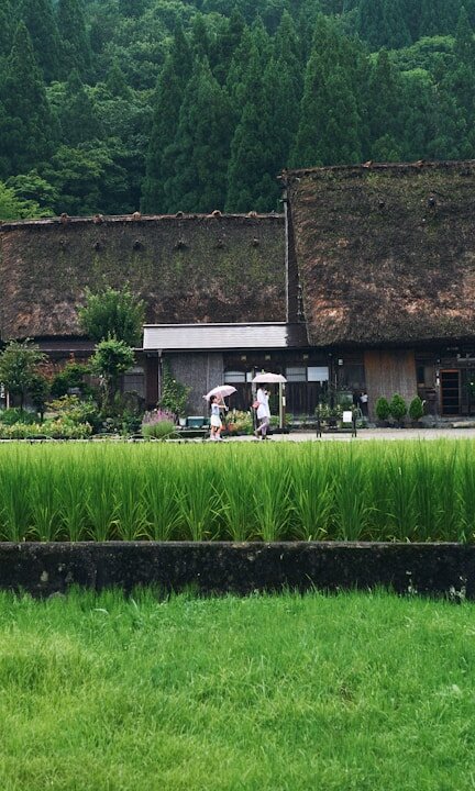 Why Japan's Countryside Rewards the Effort